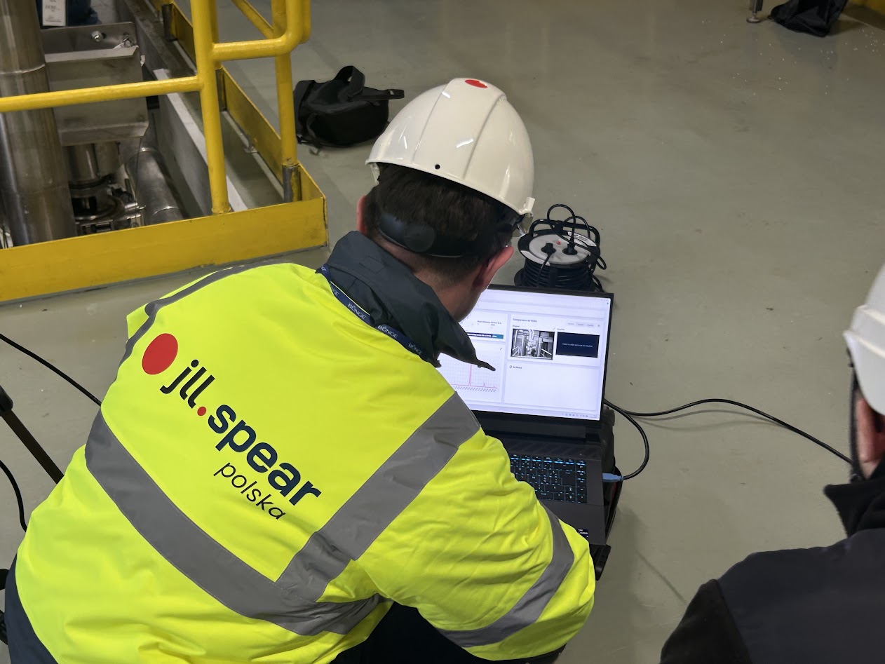 VibraVizja® field measurement